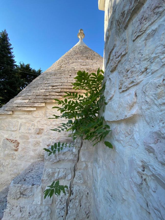 مبيت وإفطار فاسانو I Trulli Del Tupparello المظهر الخارجي الصورة