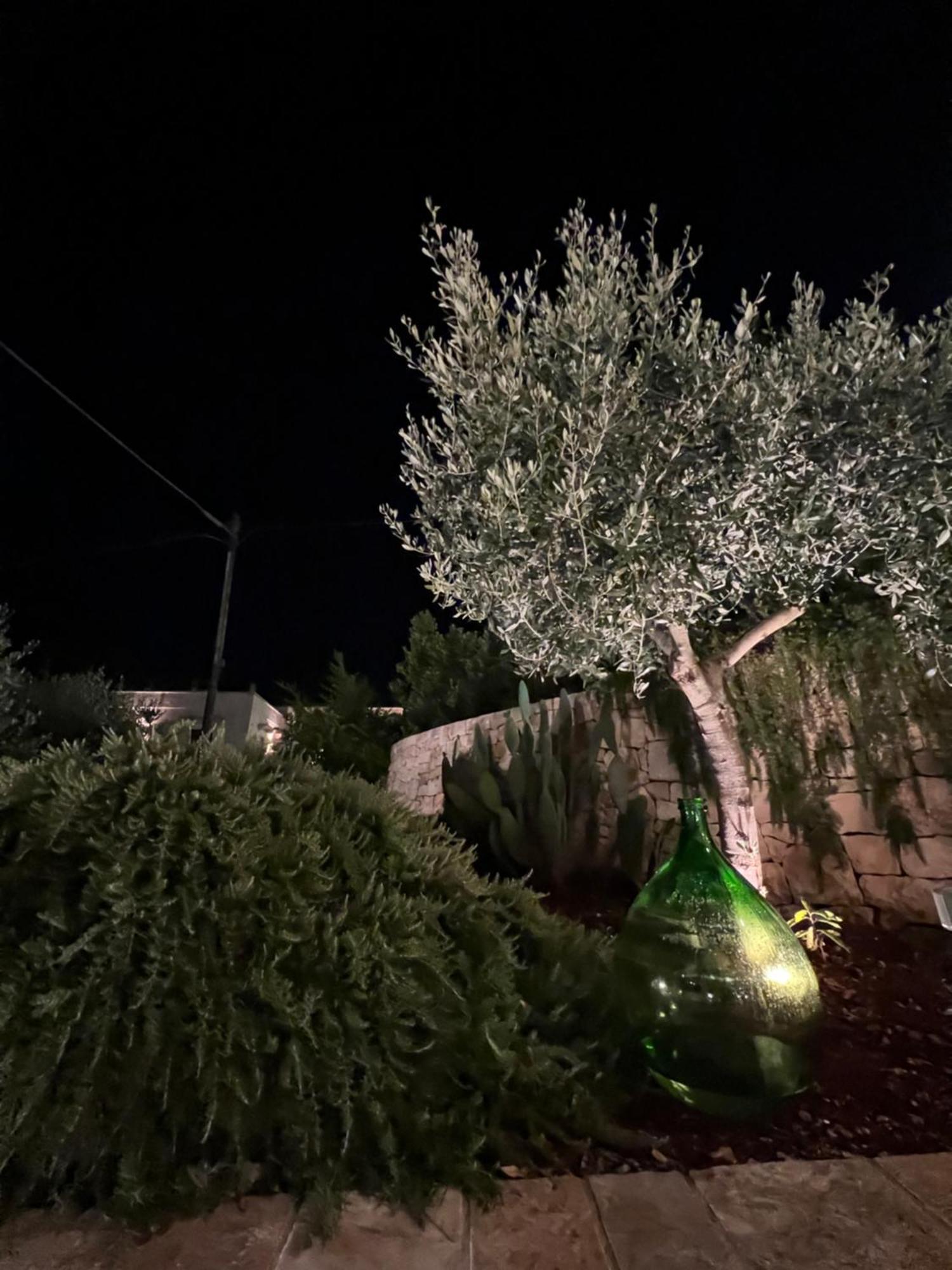 مبيت وإفطار فاسانو I Trulli Del Tupparello المظهر الخارجي الصورة